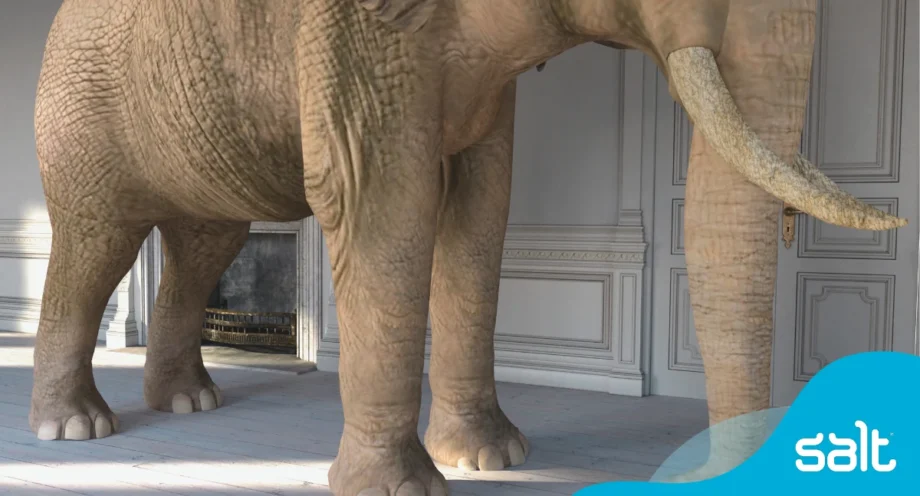 The elephant in the room: unconscious bias in hiring 1 Elephant in a room.