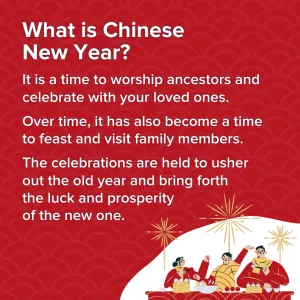 What is chinese new year 