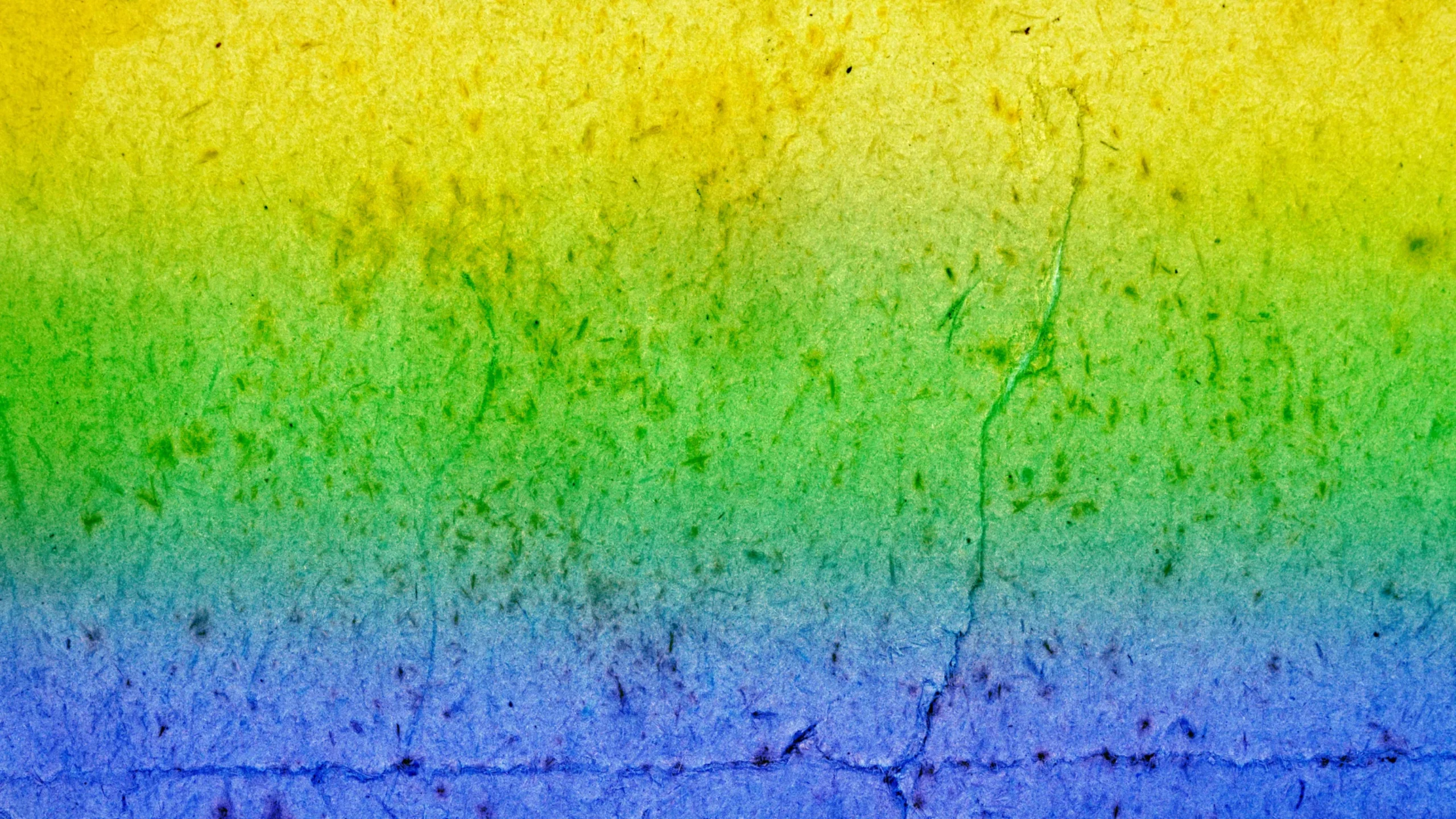 Brazil flag colour texture