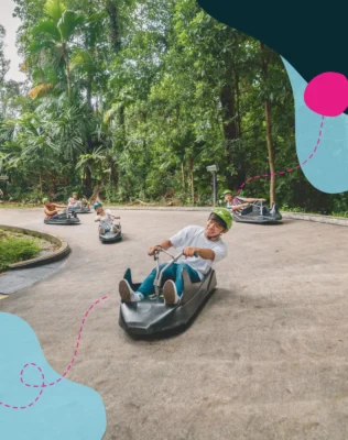 Skyline Luge cart track at day