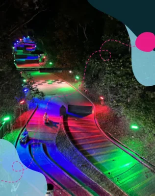 Skyline Luge cart track at night